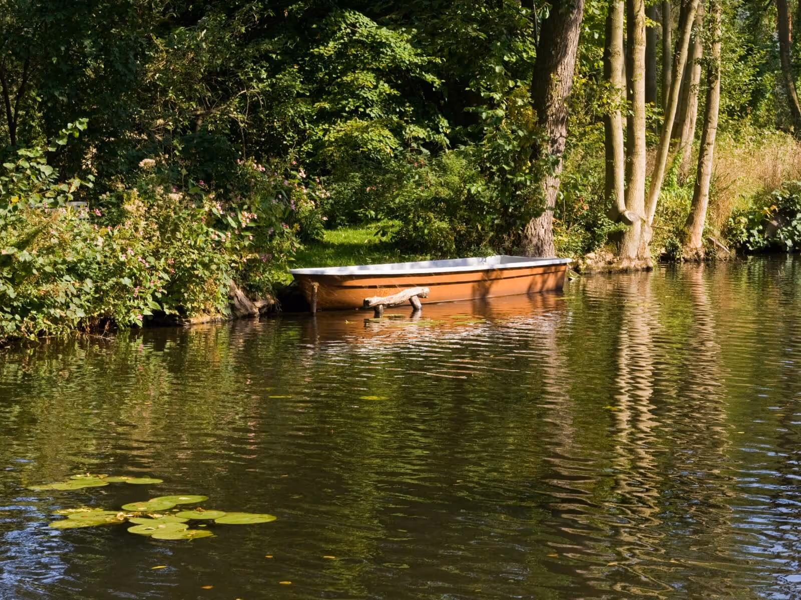 Glamping Berlin – tiny cabin offgrid rest