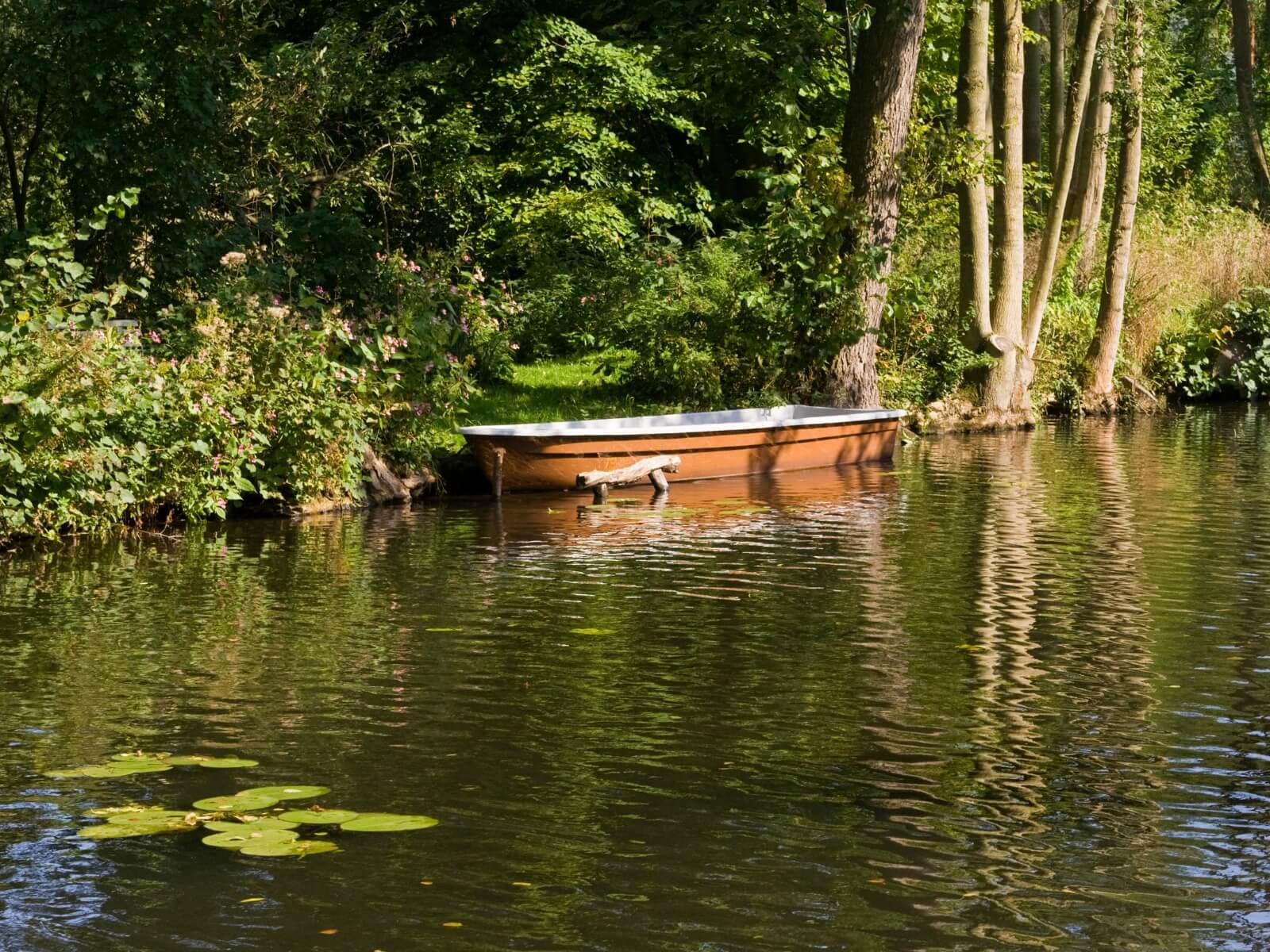 Glamping Berlin – tiny cabin offgrid rest