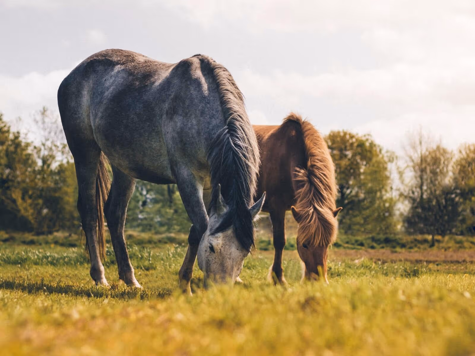 Offgrid glamping in Brandenburg – warm and rustic cabin experience