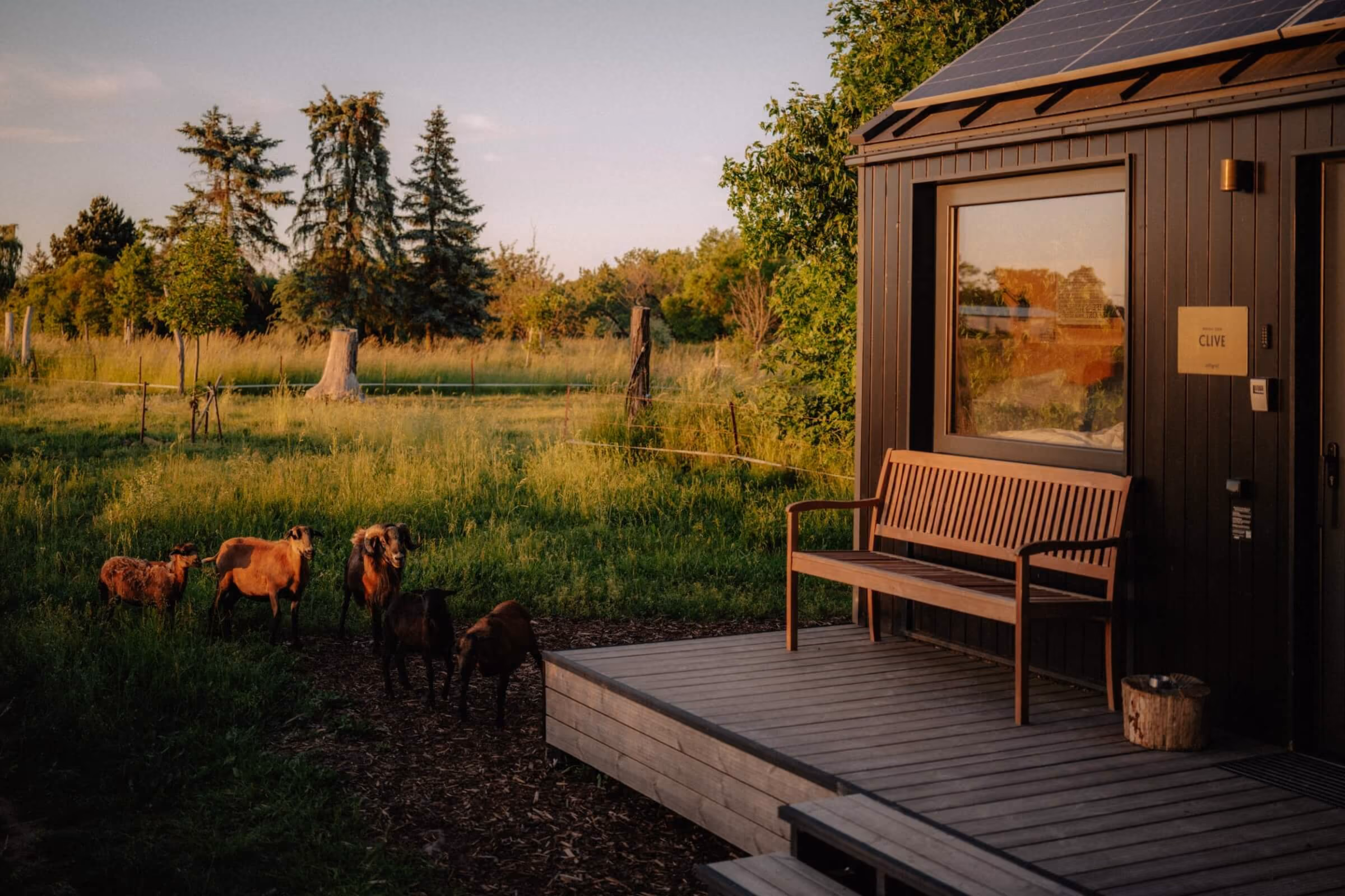 Urlaub im Tiny House Brandenburg | Offgrid Rest