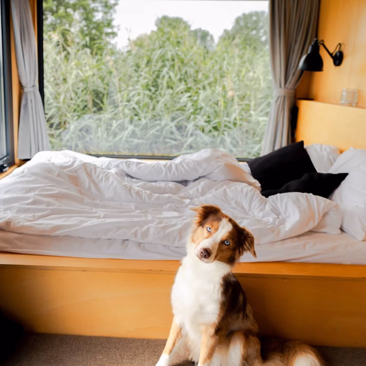 Gemütliches Offgrid Tiny House für Urlaub mit Hund in Brandenburgs Natur