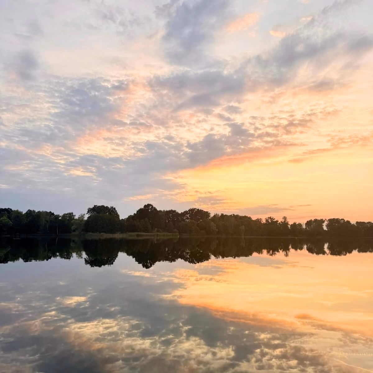 Ferienhaus in Brandenburg mit privatem See – Perfekt für Urlaub mit Hund