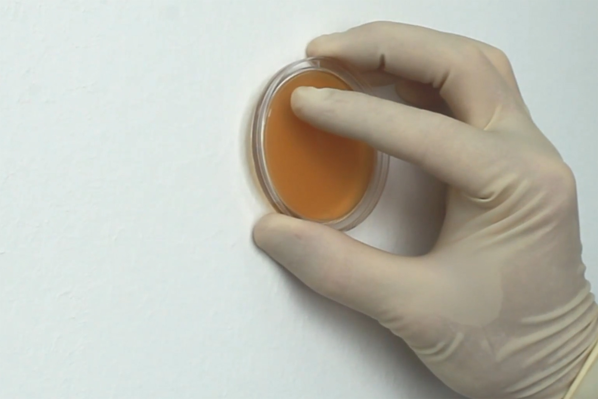 Sachverständiger führt eine Abklatschprobe bei Schimmelpilzbefall durch