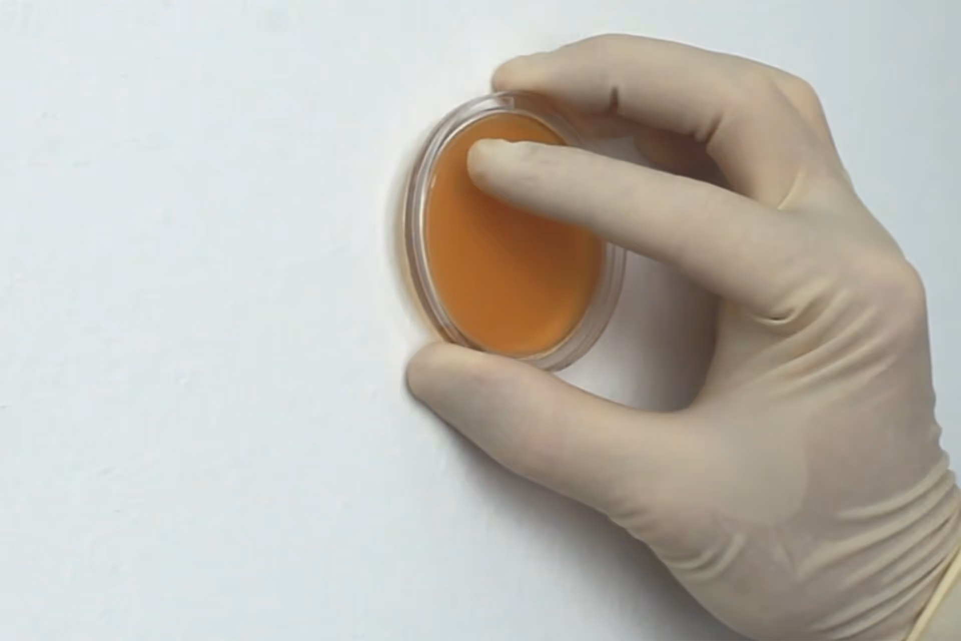 Baugutachter bei der Erstellung eines Schimmel Gutachten in Stuttgart und Umgebung