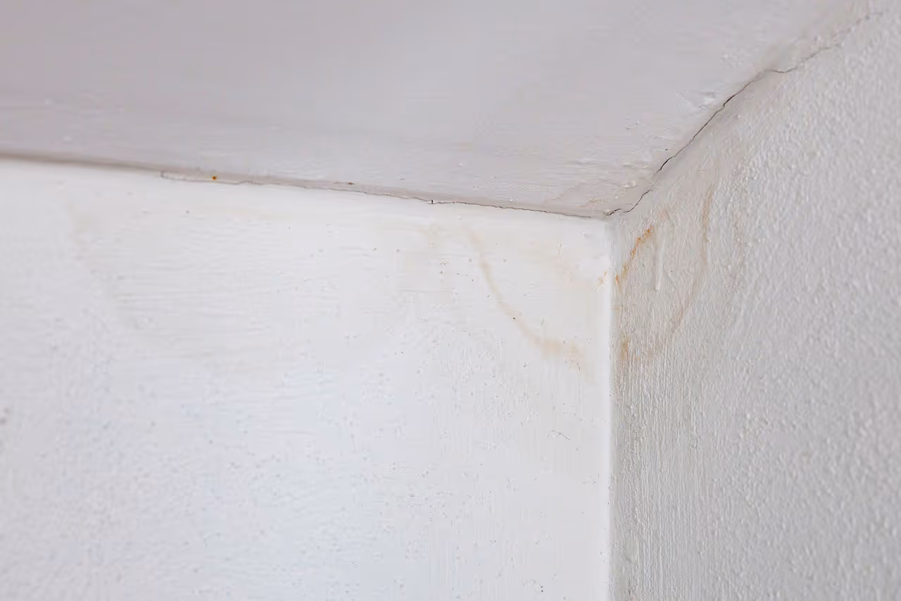 Bausachverständiger kontrolliert Feuchteschaden während Schadensanalyse in Stuttgart und Umgebung