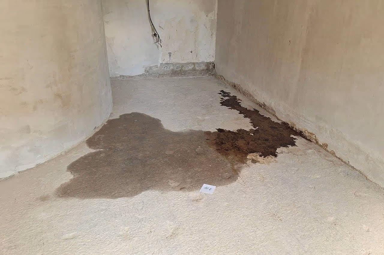 Bausachverständiger kontrolliert Wasserschaden im Keller während Schadensanalyse in Stuttgart und Umgebung