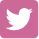 twitter icon