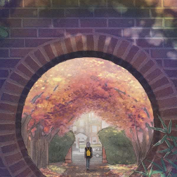 Book Illustration 1