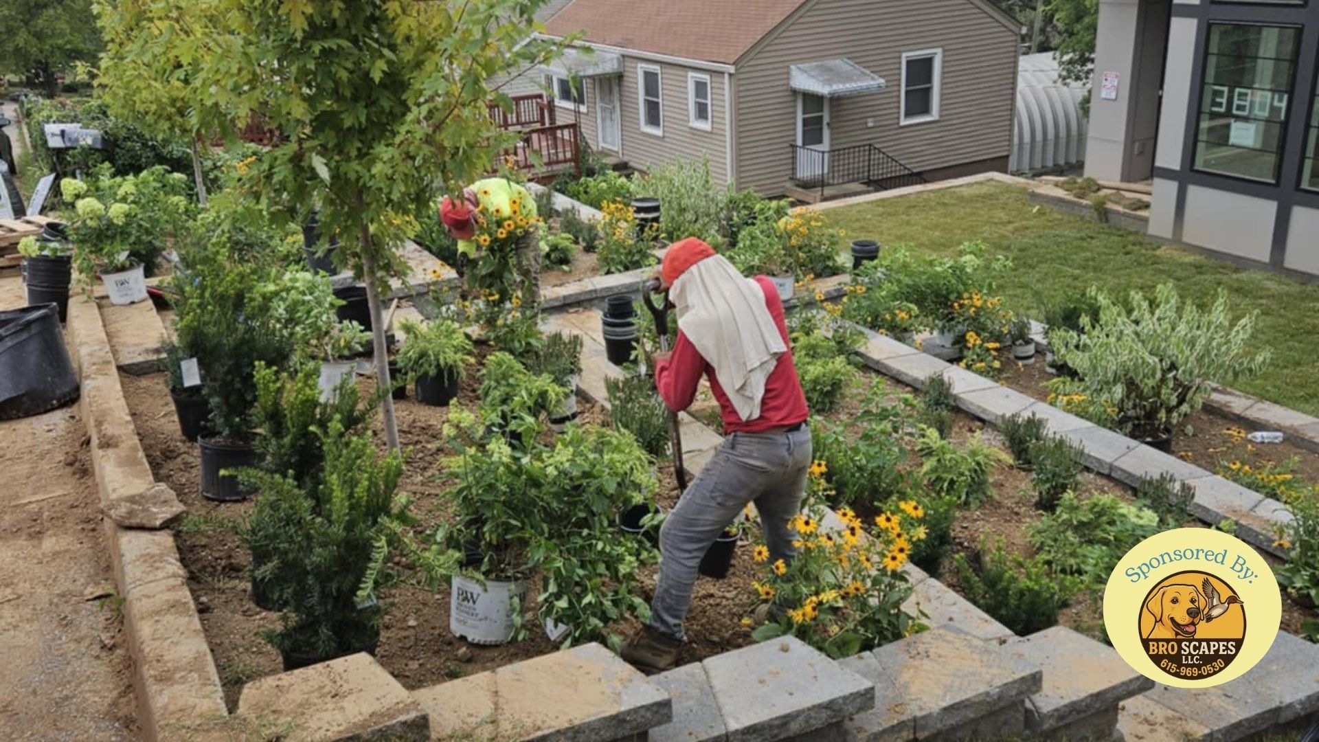 Rain Gardens: The Beautiful Landscaping Solution You Didn't Know Your Yard Needed