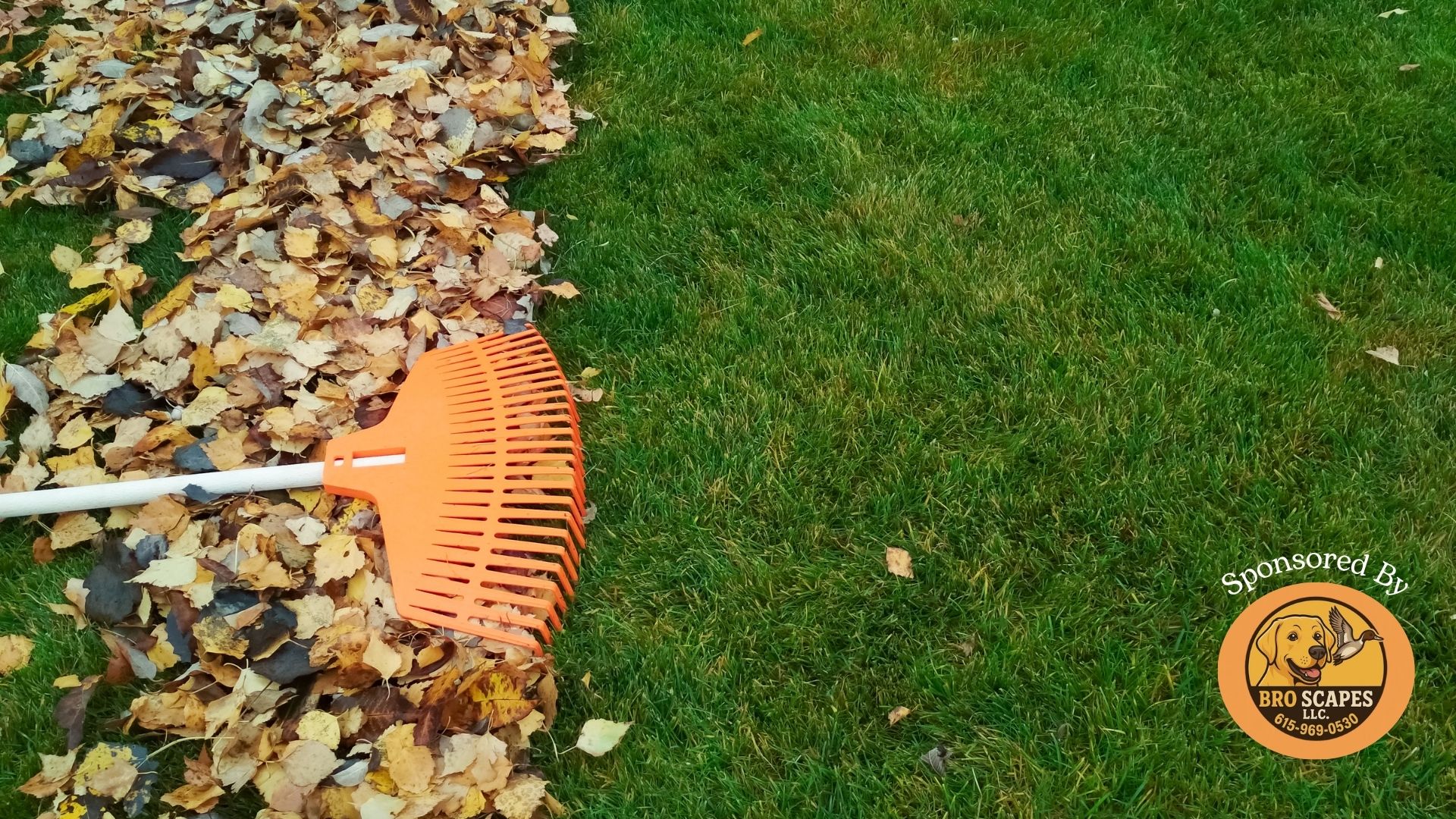Fall Lawn Care in Middle Tennessee: 5 Things to Do Before Winter
