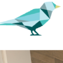 Birdseye Dentistry