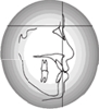 The Dentists, PLLC