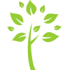 Elm Family Dentistry