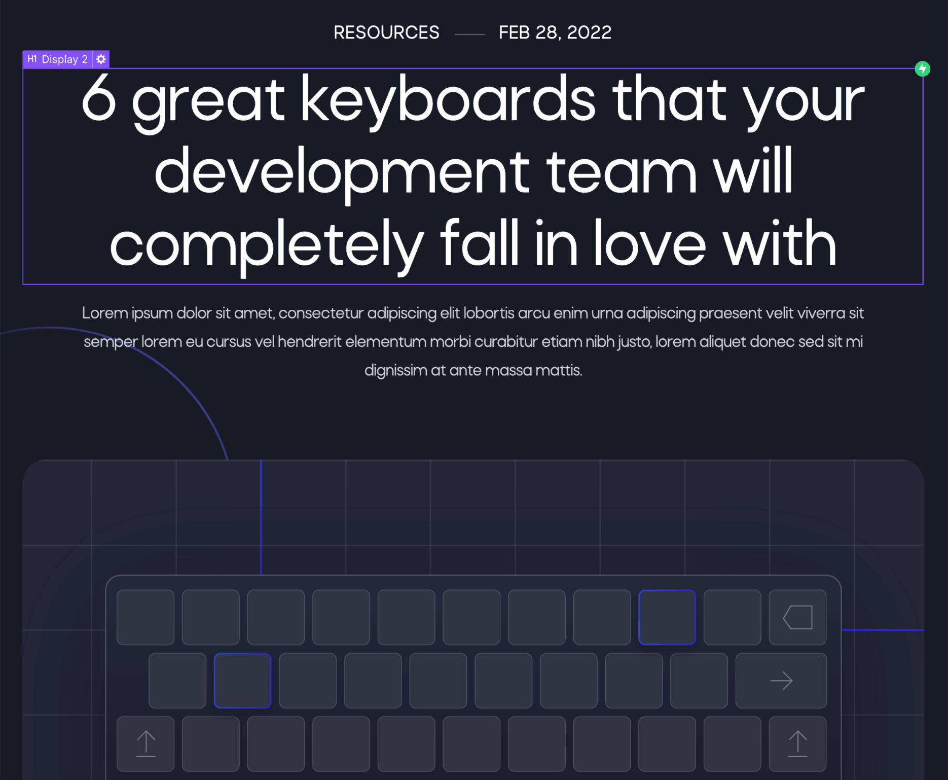 CMS Collection - Dev X Webflow Template
