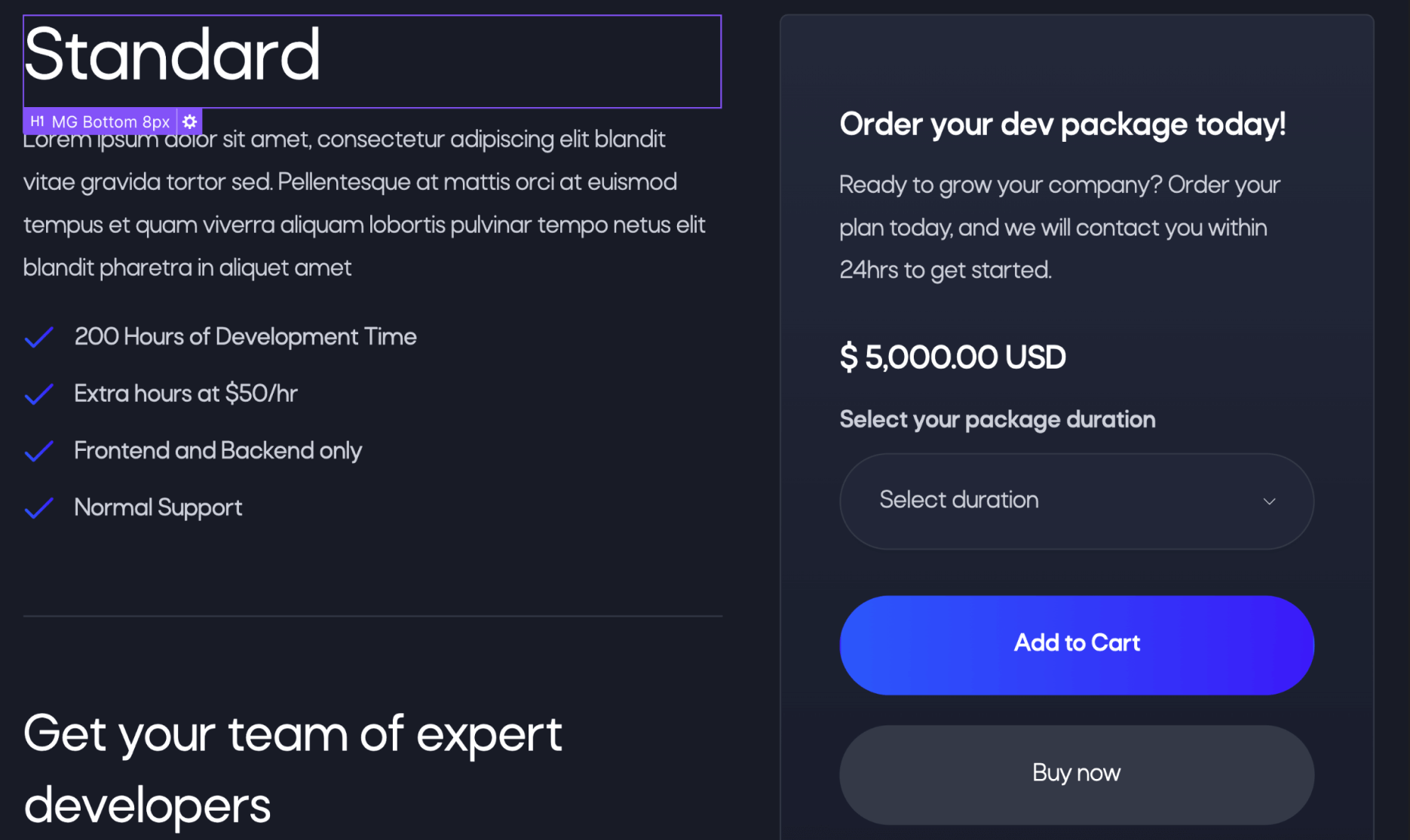 eCommerce Page - Dev X Webflow Template
