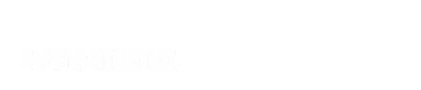 dn.se (Sweden)