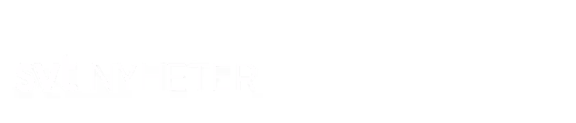 SVT Nyheter (Sweden)