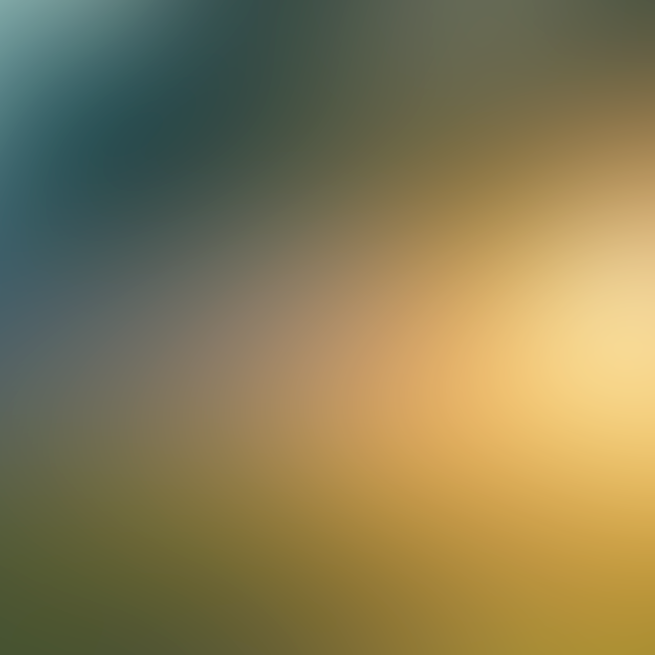 Stiddle Analytics Dashboard