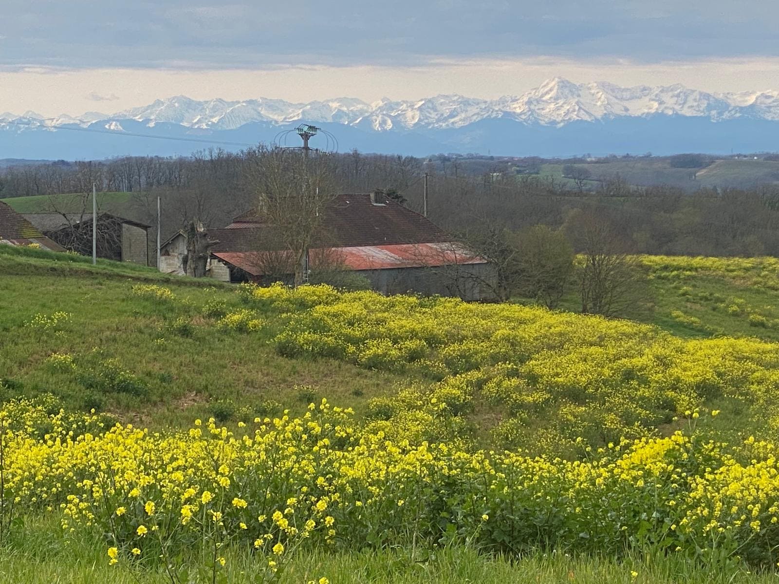Propriété avec maison et 17 hectares