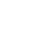 Ventive