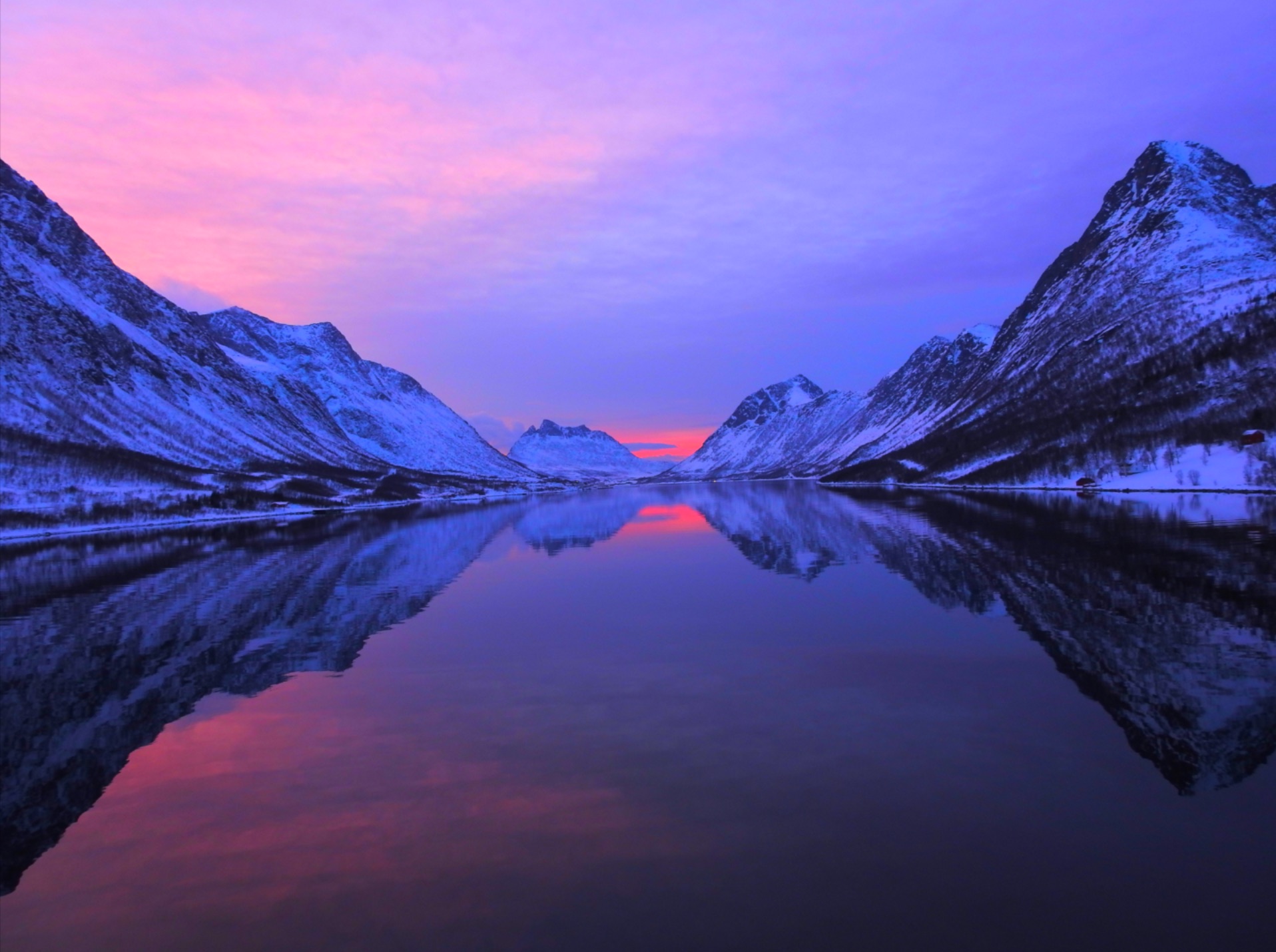 Polar Fjord Cruise All-Inclusive