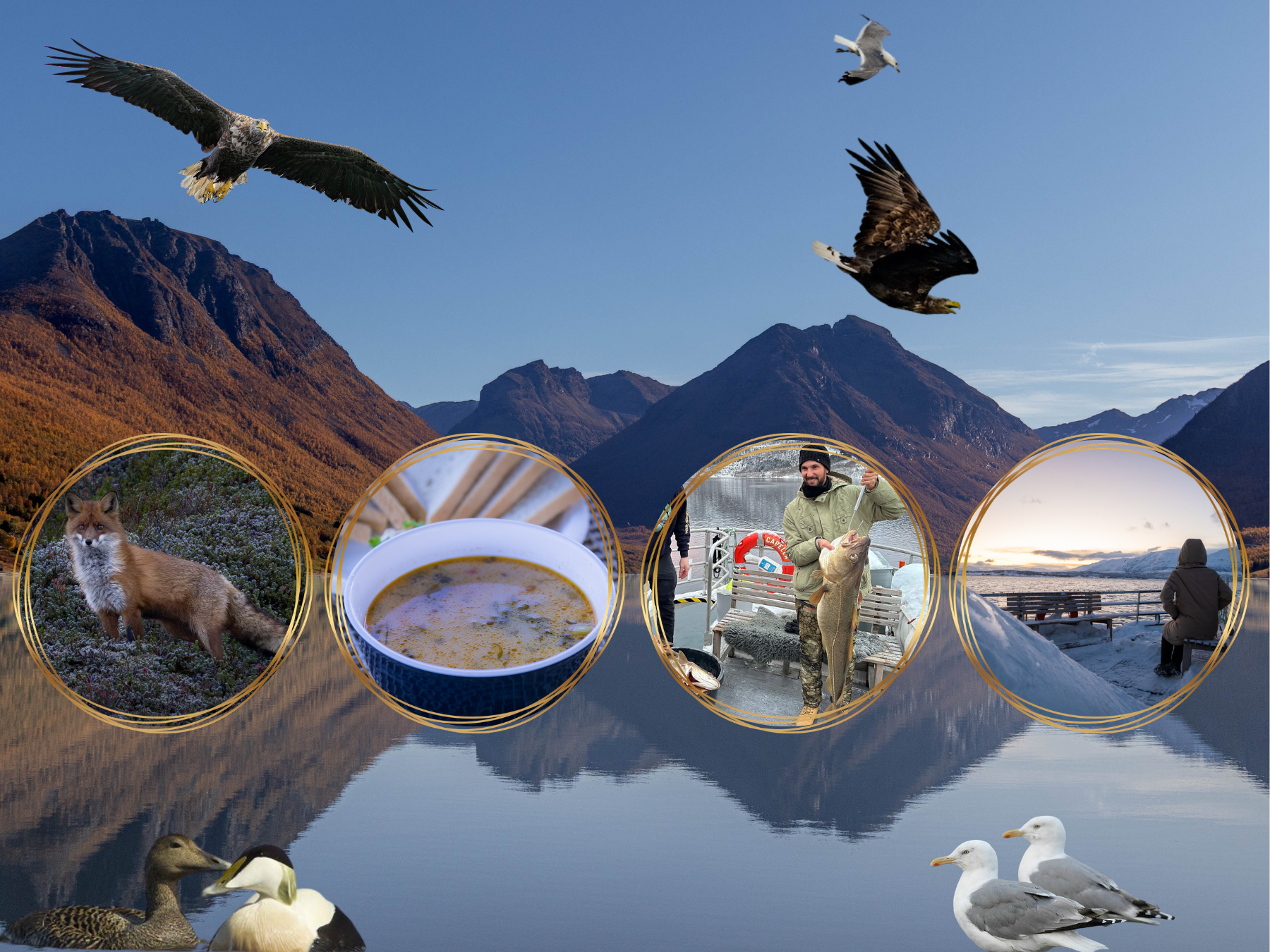 Polar Fjord & Fishing Cruise
