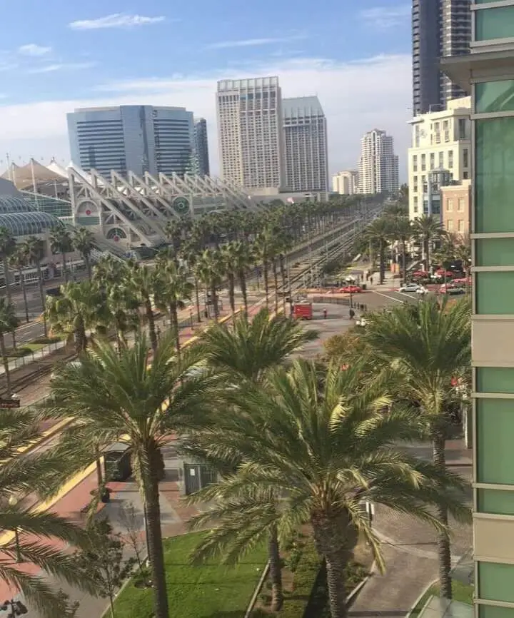 A downwards picture of San Diego with numerous palm trees and buildings