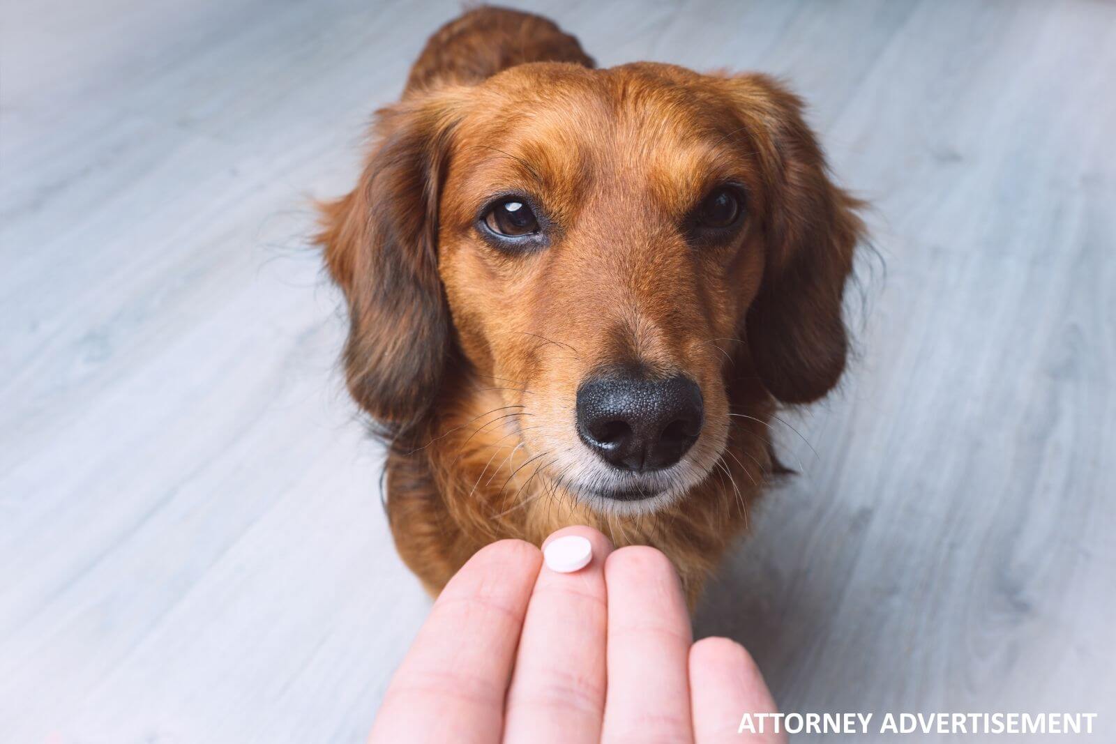 Cosequin Dog Supplements Class Action Settlement