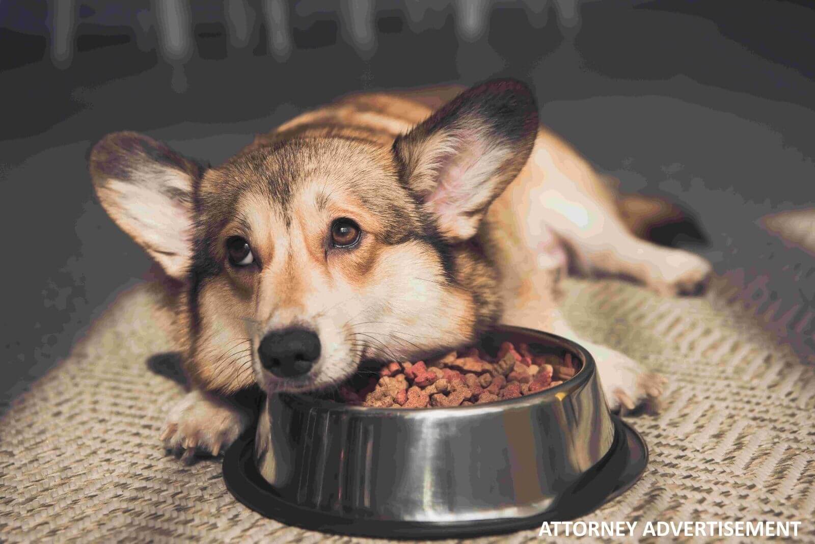 Instinct Pet Foods Data Breach Class Action Settlement