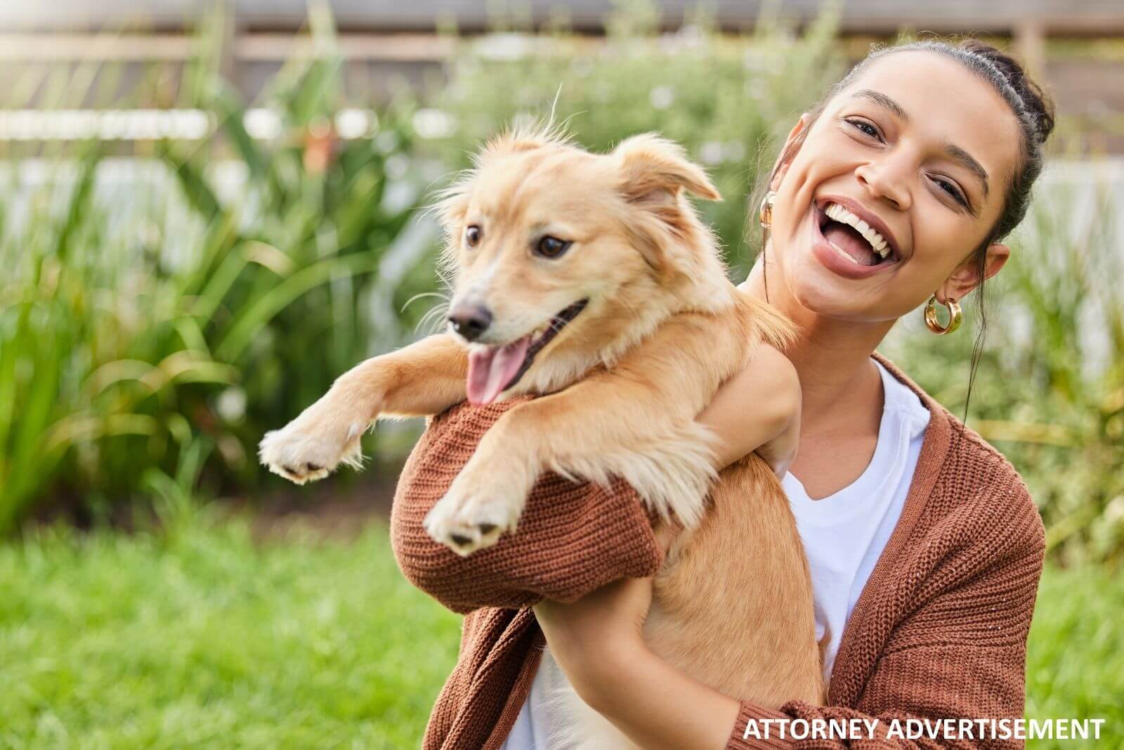PetSafe E-Collar Class Action Settlement