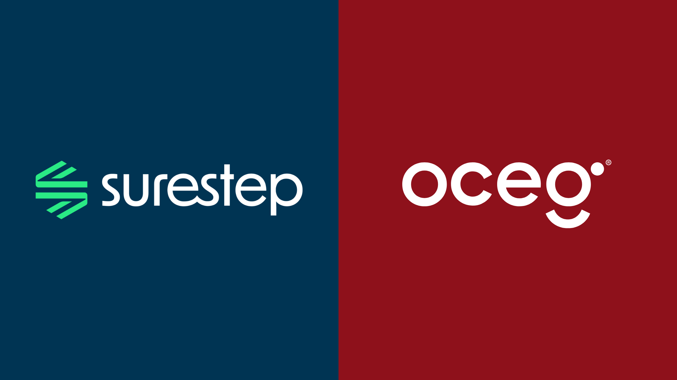 Driving Principled Performance: Our Partnership with OCEG