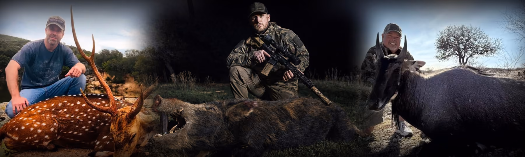 Notre activité de chasse du sanglier nocturne