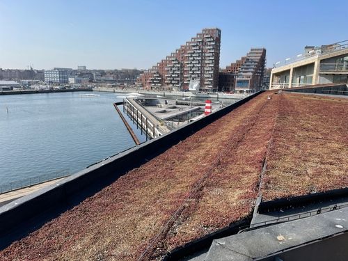 Udsigt udover Århus Ø