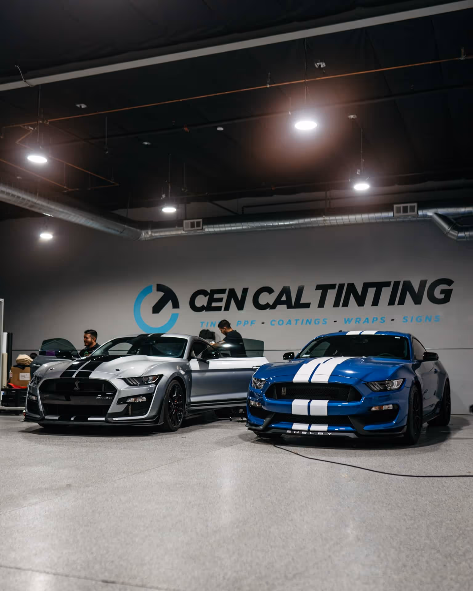 Two mustangs on the CenCal shop floor