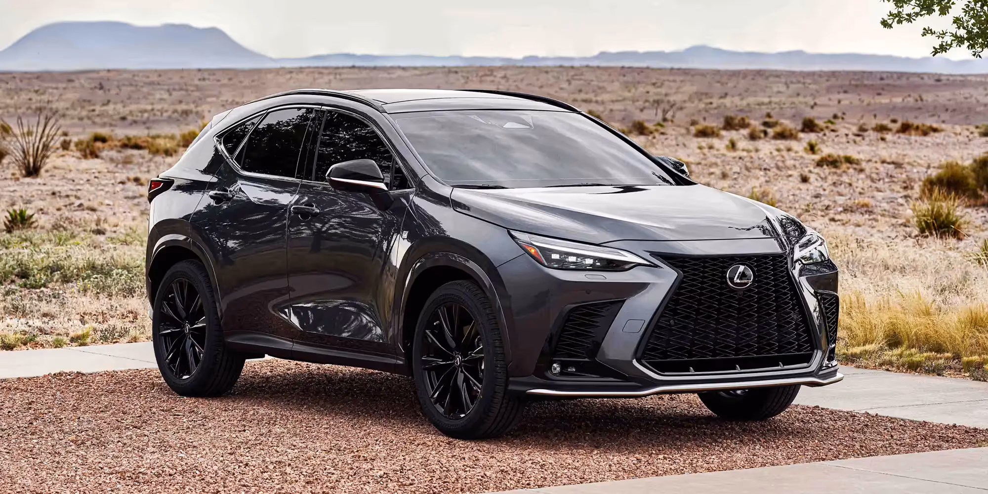Lexus NX from USA