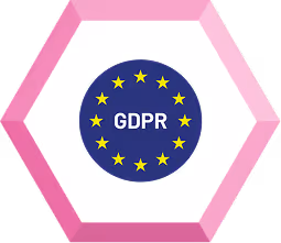 GDPR Icon 