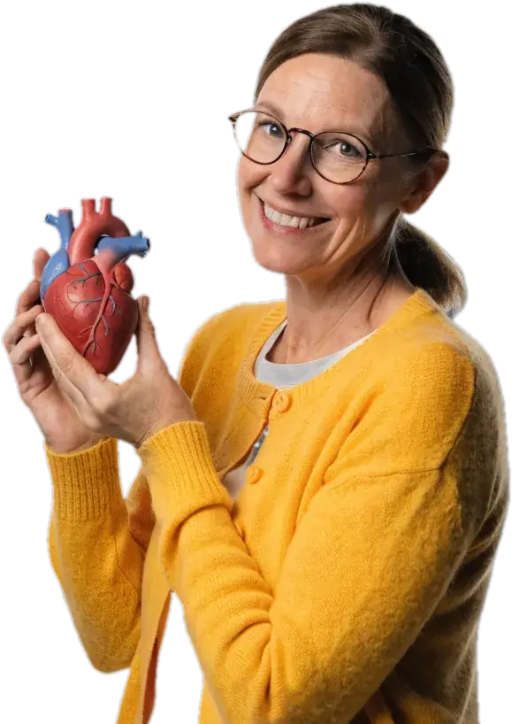 Biology teacher in glasses holding a model of a human heart