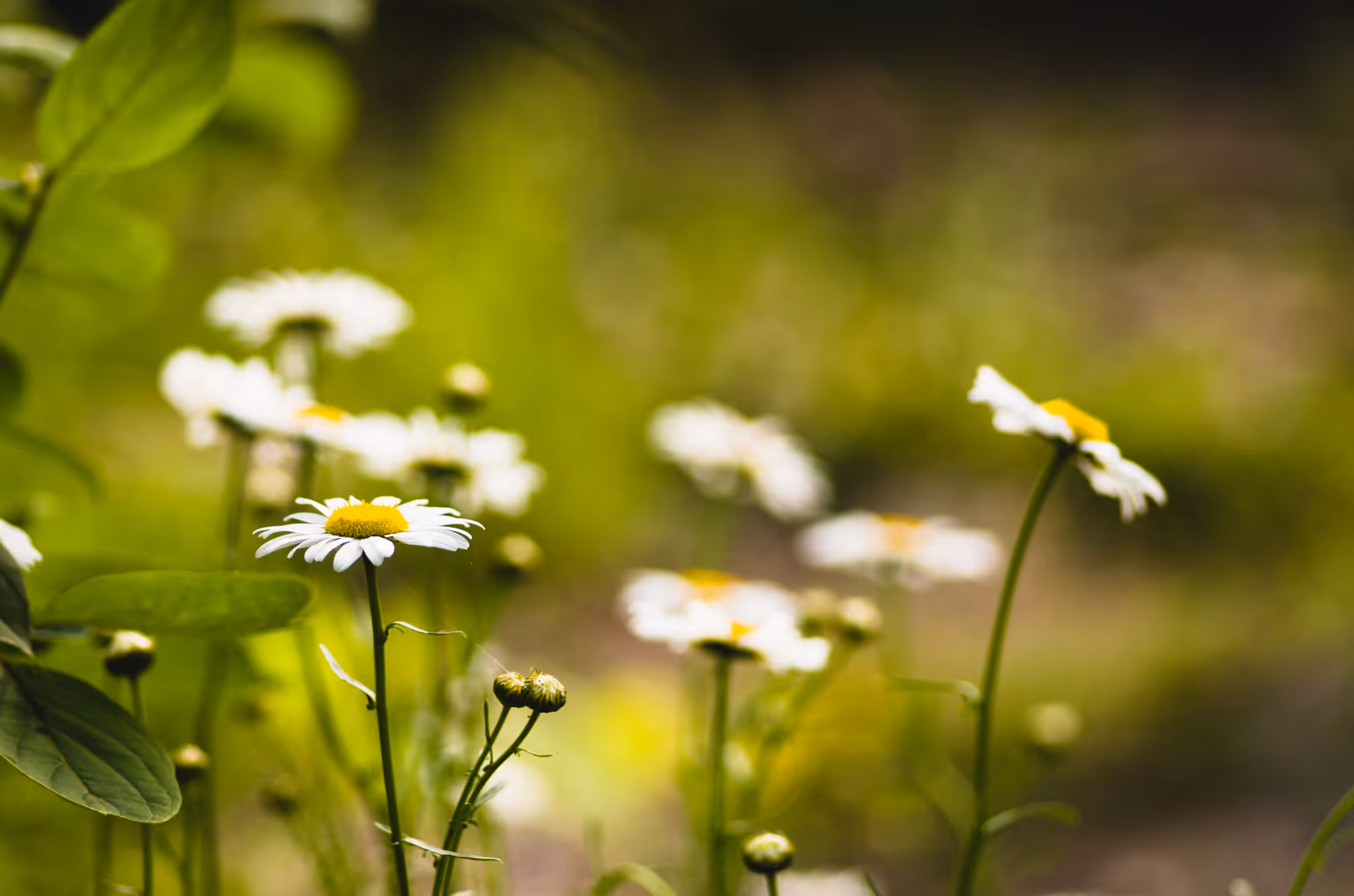 CPT vs. EMDR: A Guide to PTSD Treatments