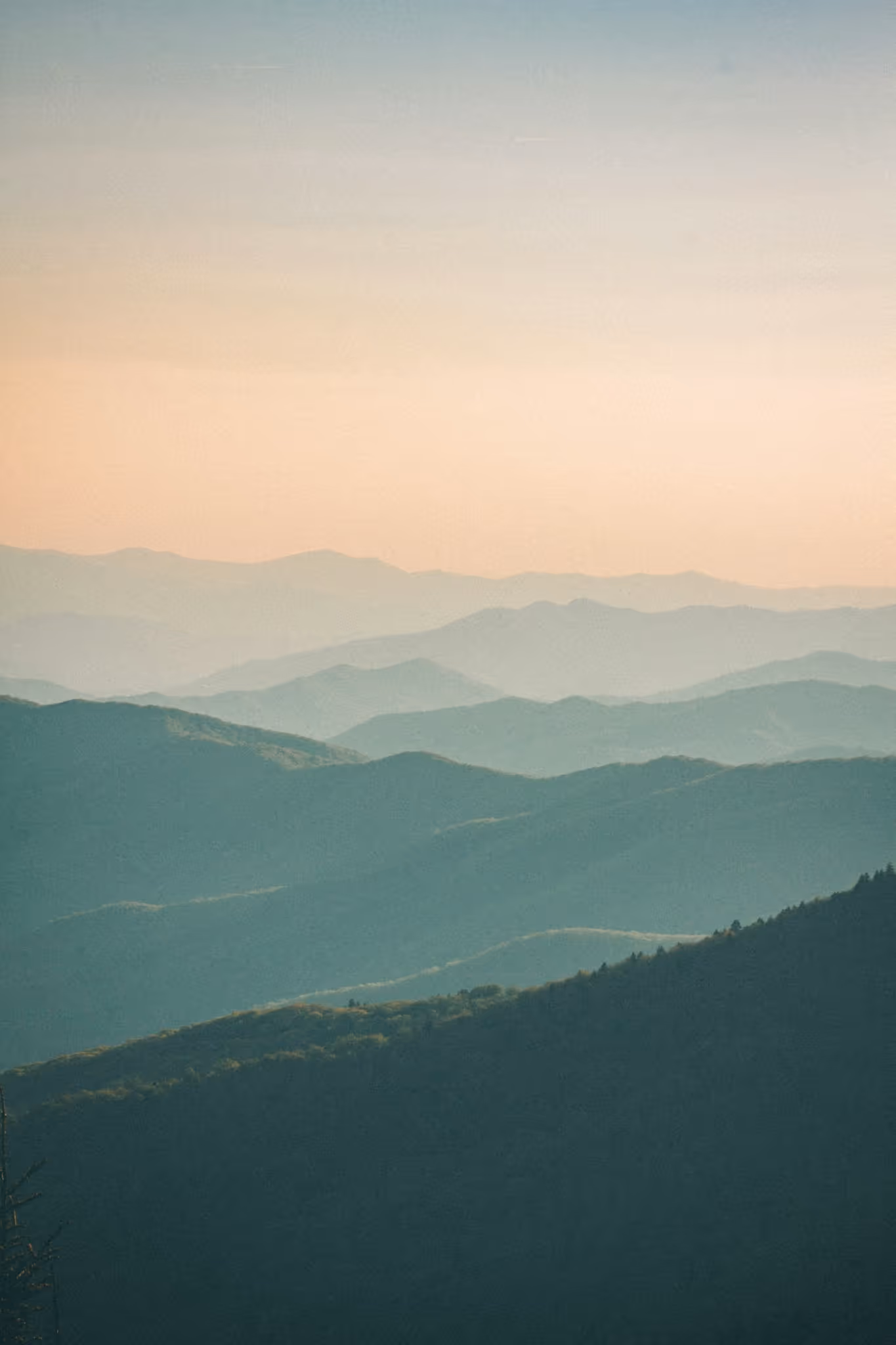 Can You Get PTSD From A Breakup? 