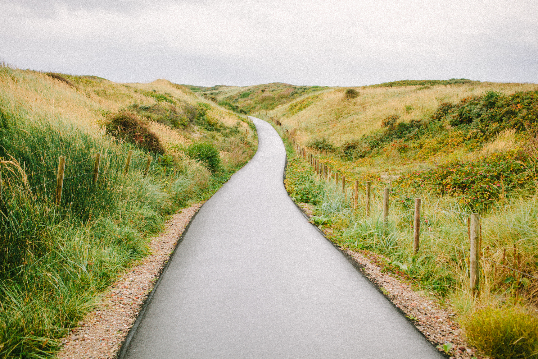 Gabrielle Union Joins Nema Health as Investor & Strategic Advisor