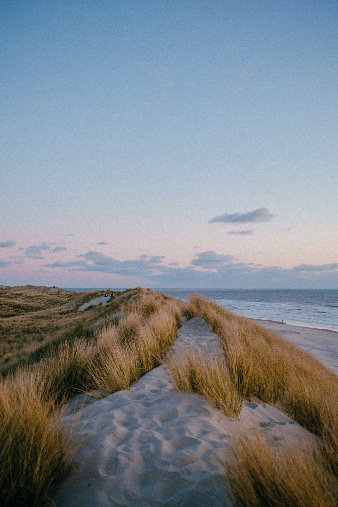 Why Intensive CPT Works Faster: 12 Sessions vs. Years of Weekly Therapy