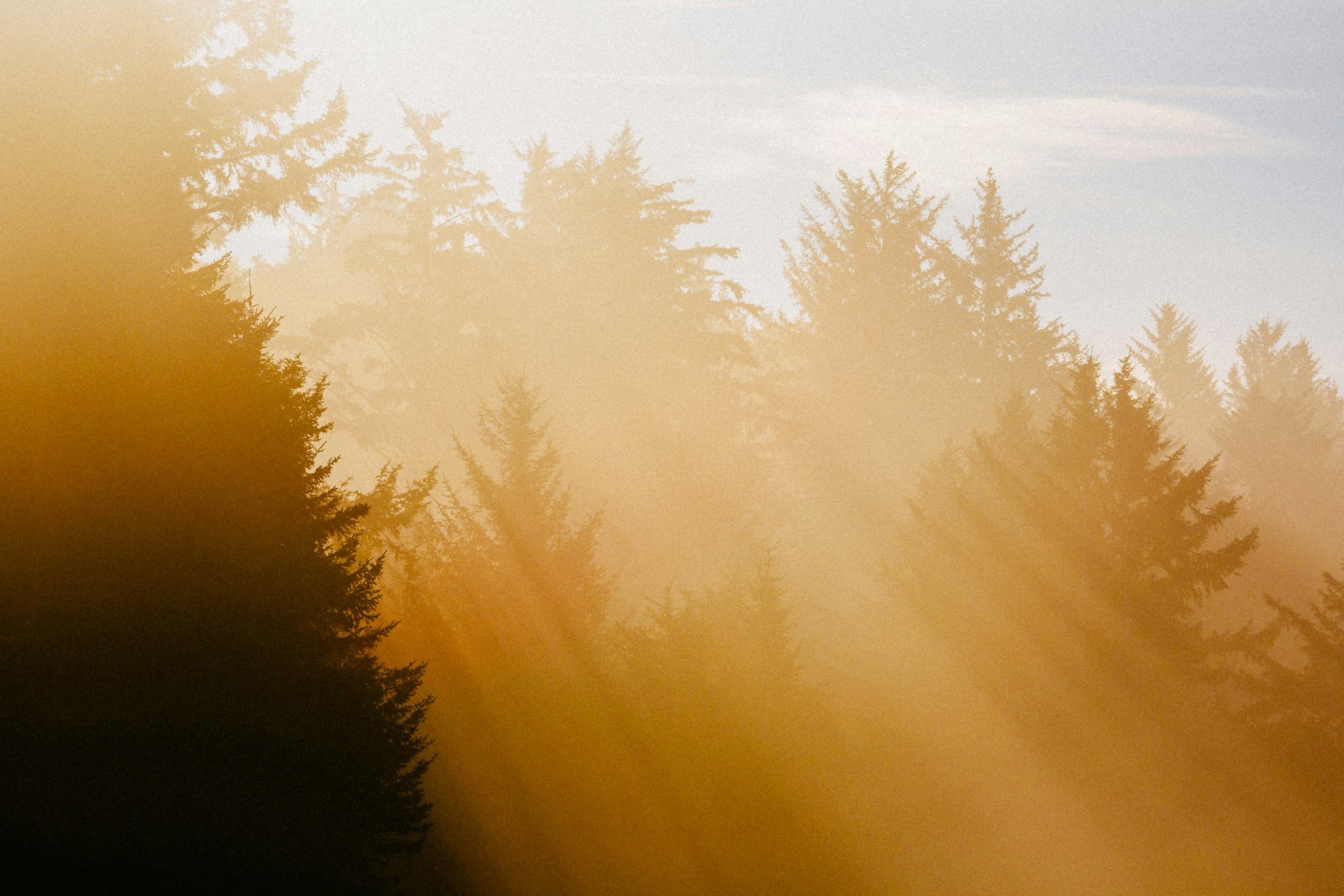 What the Research Says About Intensive Trauma Treatment: A Plain-English Summary