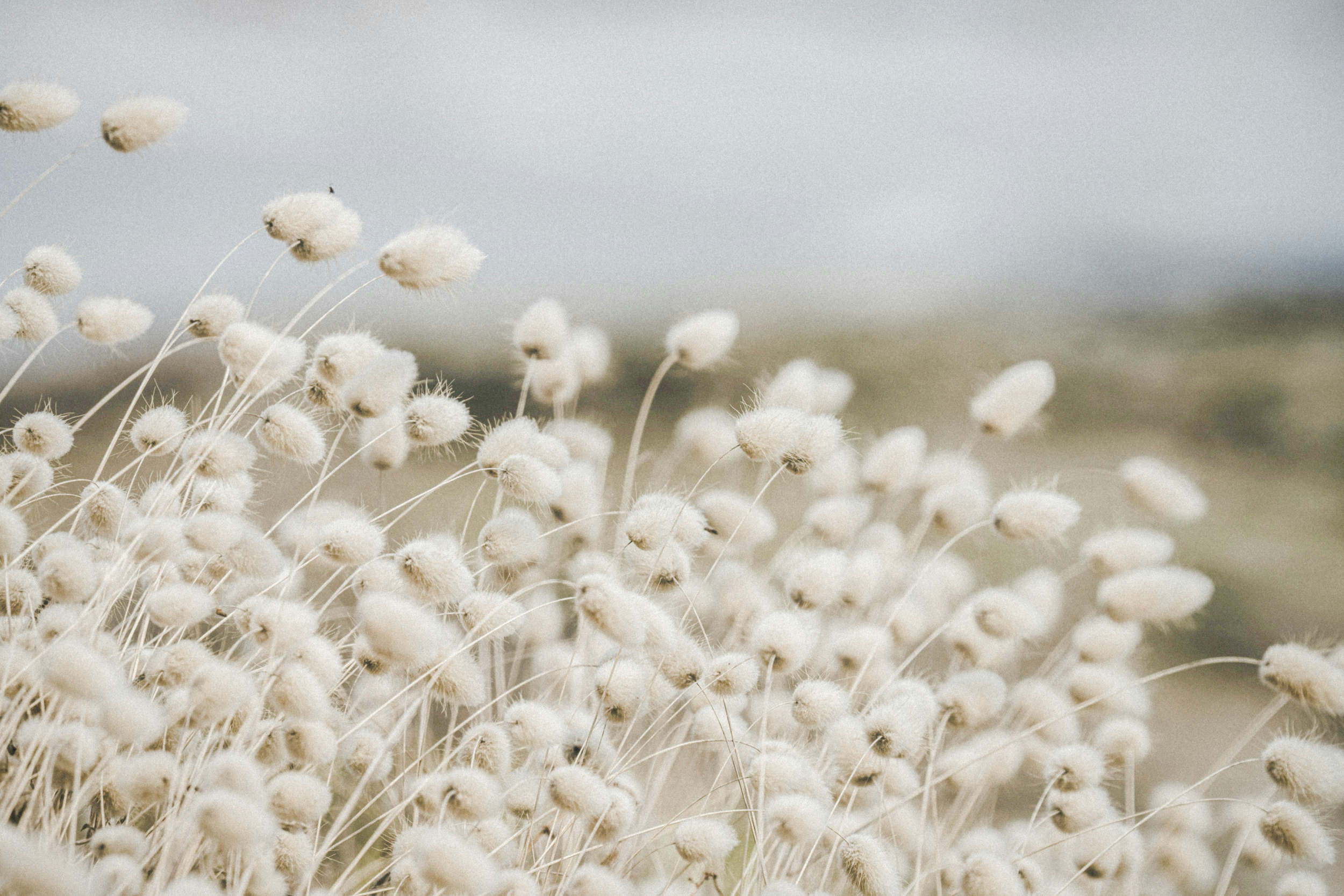 CPT vs. EMDR: Understanding the Science and Results of Your PTSD Treatment Options