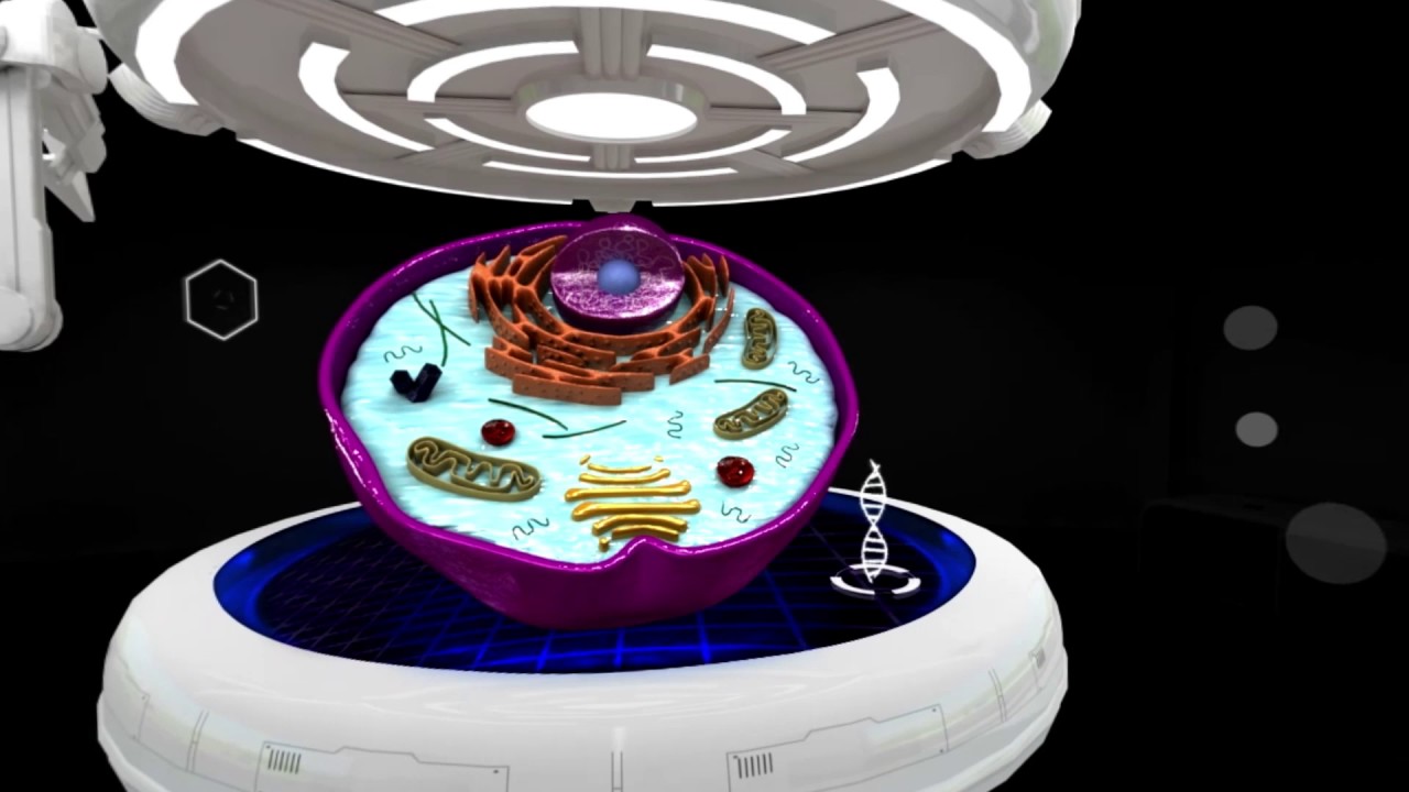Laboratório do Futuro, experiência em realidade virtual da UPL
