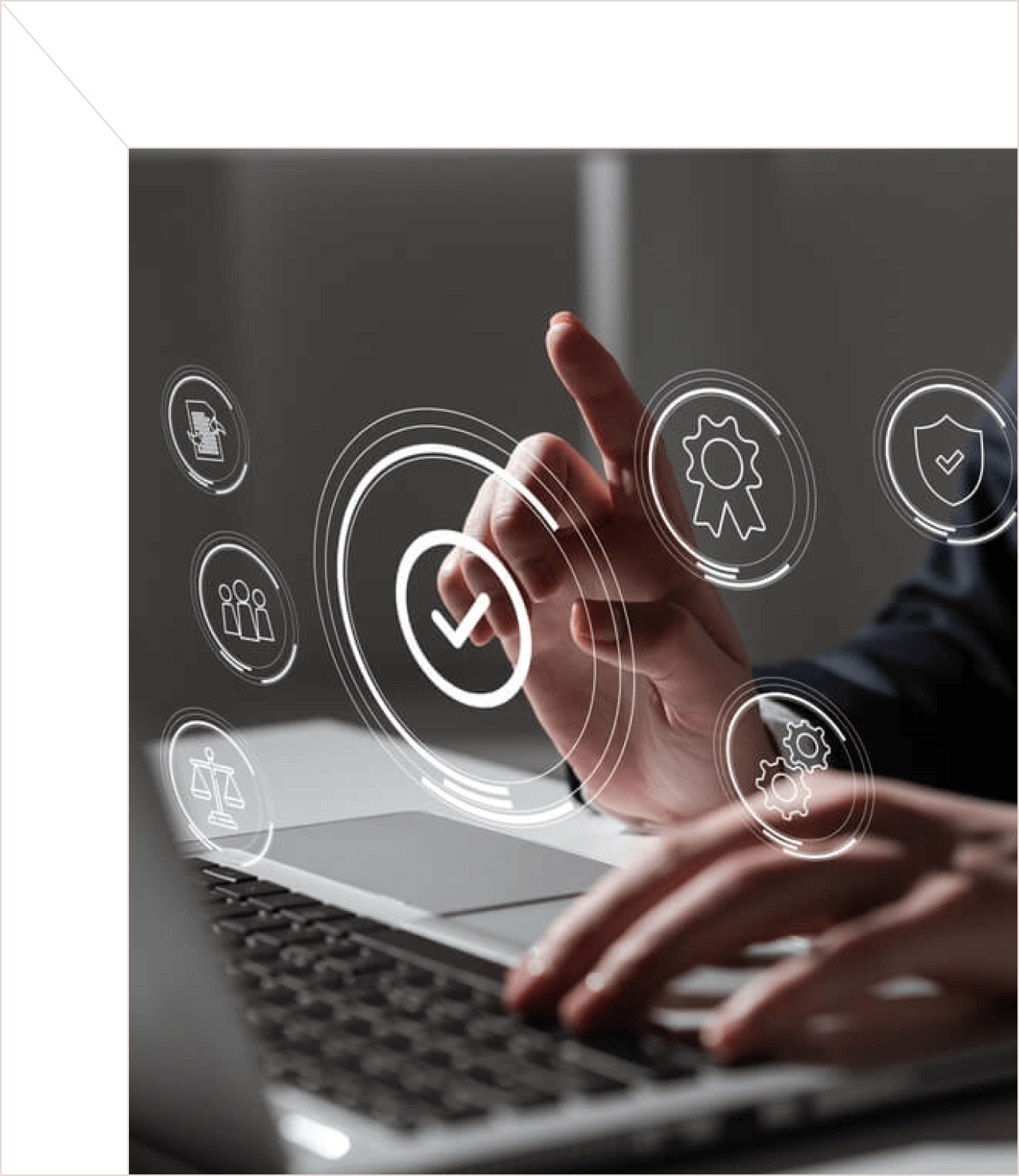 brand protection services