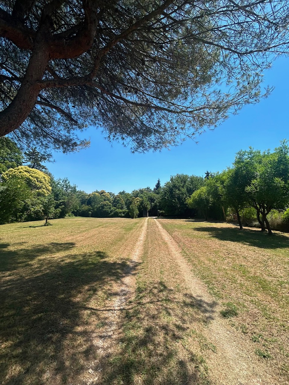 Aix en Provence       Exclusivité