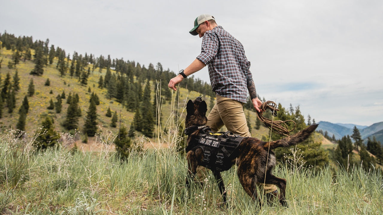 A Work Your Pack trainer working with a dog in a mountain meadow.