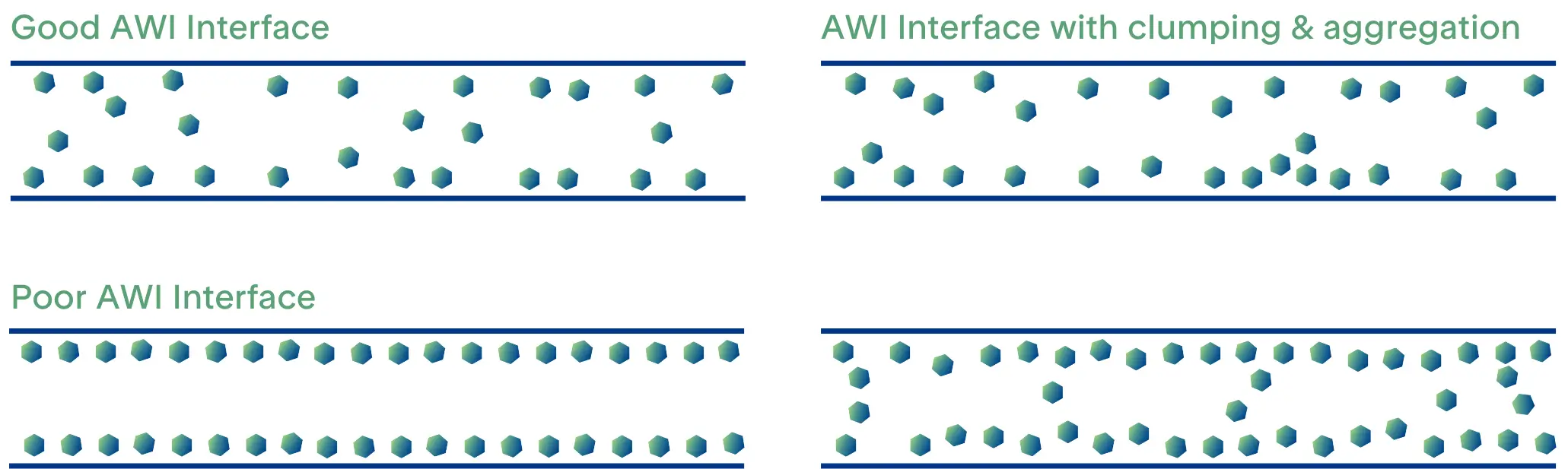 graphic depiction of cross section of cryo-EM grids