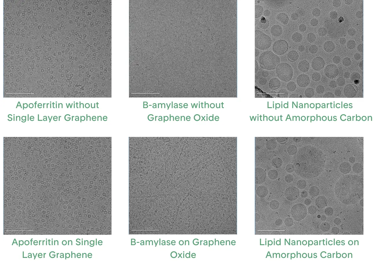 black and white microscopic depictions of different cryo-EM micrographs on support film and without support film