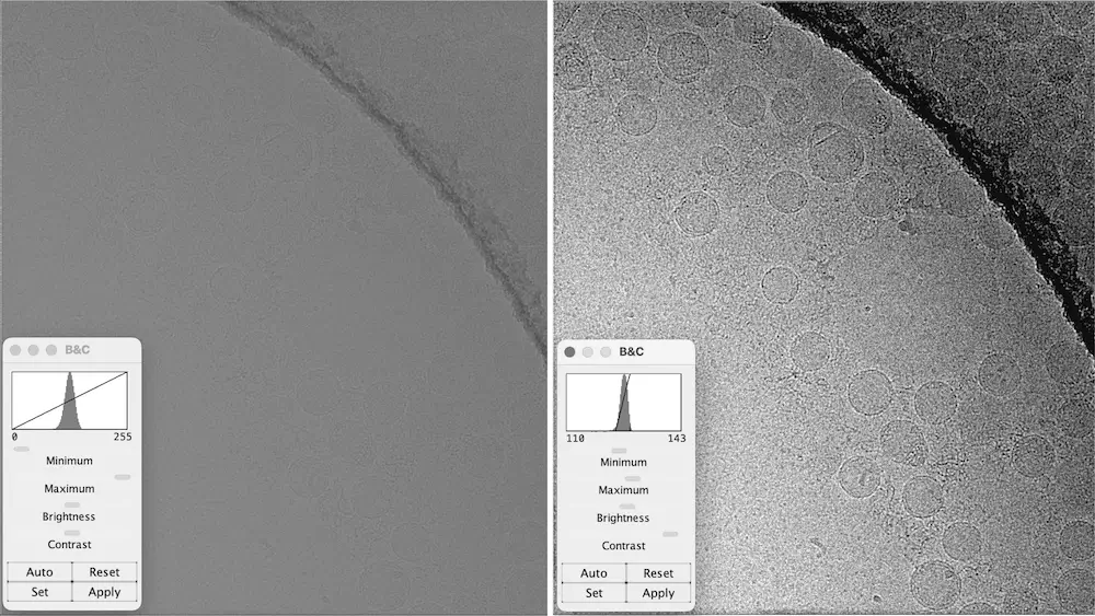 microscopic black and white TEM image showing contrast adjustments to TEM images, before & after | NIS